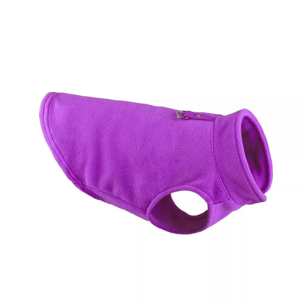 Cozy Winter Dog Jacket for Small Breeds — Cyan