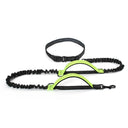 High Quality Hands-Free Dog Leash with Dual Bungee for Large Dogs