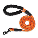 Strong Leashes for Dogs with Soft Handle and Reinforced Design