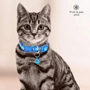 Cartoon Paw Print Pet Collar with Safety Bell Adjustable