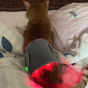 Red Light Therapy Pad For Dogs Pain Relief Fast At Home Veterinary Device