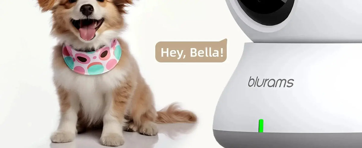 Indoor Pet Camera for Peace of Mind — product view 11