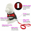 Breathable Mesh Dog Leash & Harness Set for Small Breeds