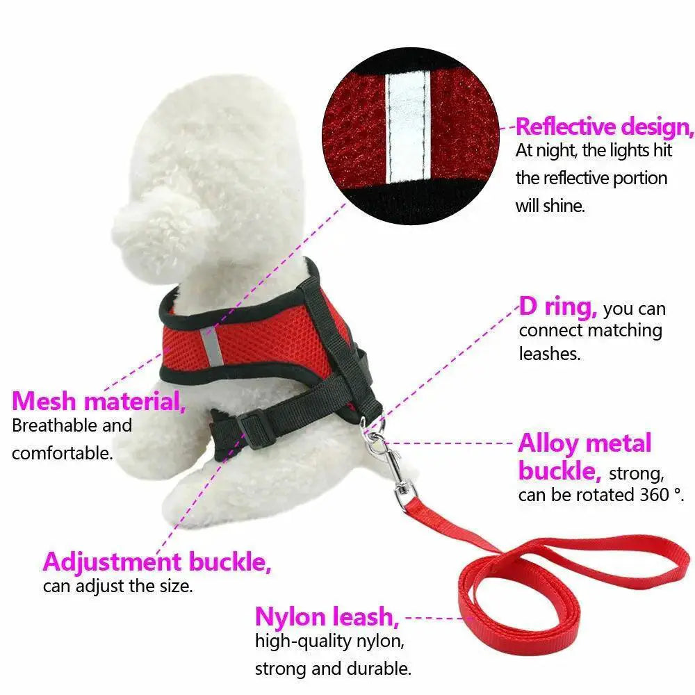 Breathable Mesh Dog Leash and Harness Set for Small Breeds
