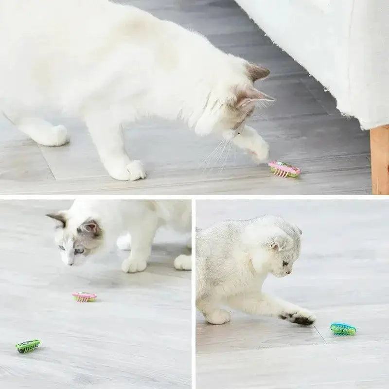 Interactive Ladybug Cat Toy For Engaging Pet Playtime Robot