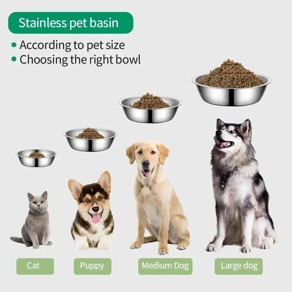 Stainless Steel Large Pet Feeder Bowl Durable and Safe