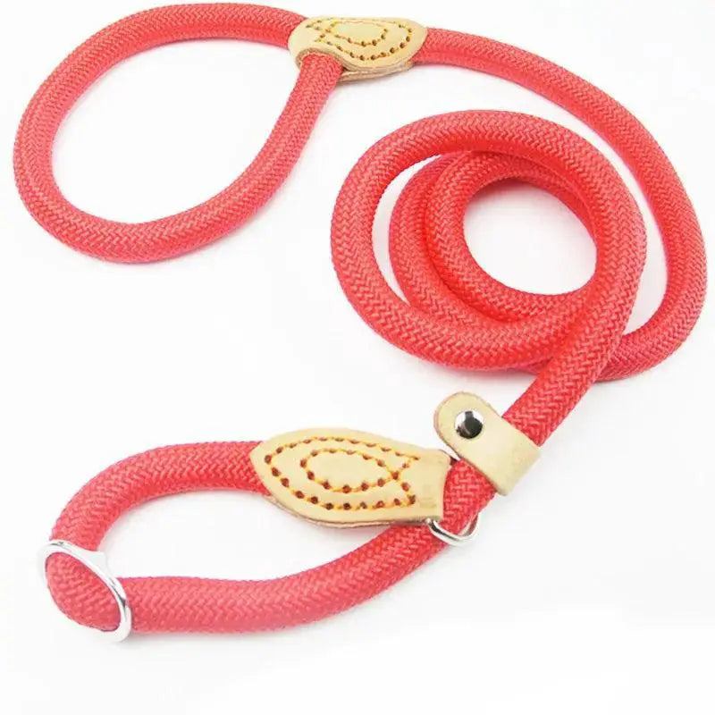 Heavy Duty Braided Rope Dog Training Leash For Medium Dogs