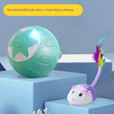 Smart Cat Teasing Ball for Curious Cats