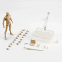 Poseable Sketch Art Model Figure