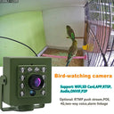 Smarter Bird Box Camera for Birdwatchers
