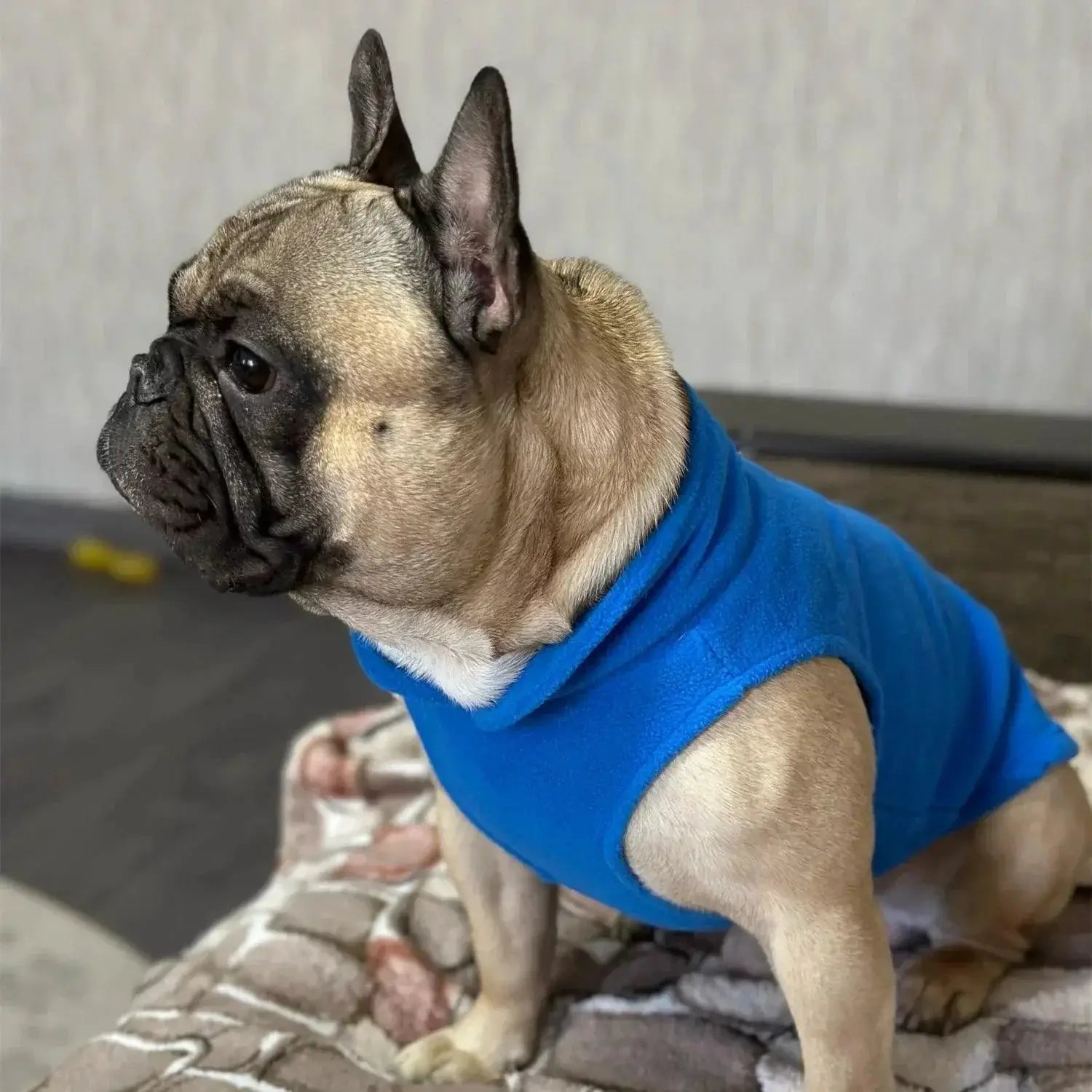 Winter Soft Fleece Dog Coat For Small Breeds Warmth