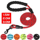 Reflective Nylon Dog Leash: Safety and Style for Walks
