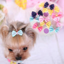 Colorful Bone Shape Dog Hair Clips for Grooming Essentials
