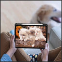 Protective iPad Case With Pencil Holder