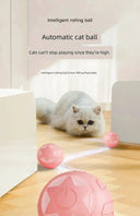 Smart Cat Teasing Ball for Curious Cats
