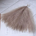 Low Maintenance Pampas Bouquet for Decor