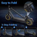 Ladped Folding Electric Scooter