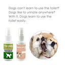 Potty Training Spray for Dogs and Cats