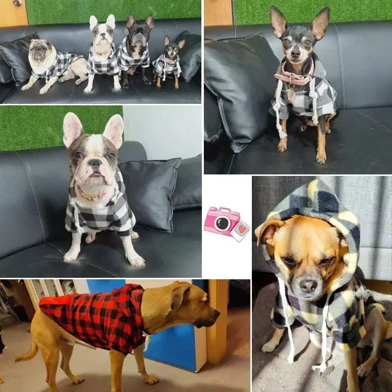 Winter Wool Pet Hoodie For Chihuahuas And Pugs Warmth