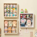 Transparent Storage Organizer