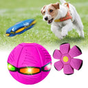 Dog UFO Ball Enhances Interaction and Exercise for All Sizes