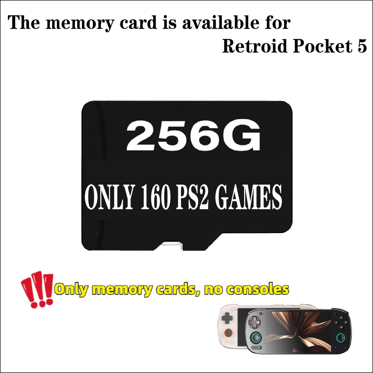 Retroid Pocket 5 Memory Card