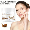 Water Ice Levin Snail Cream for Dry Skin