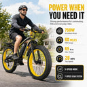 Fat Tire Ebike Inch Load