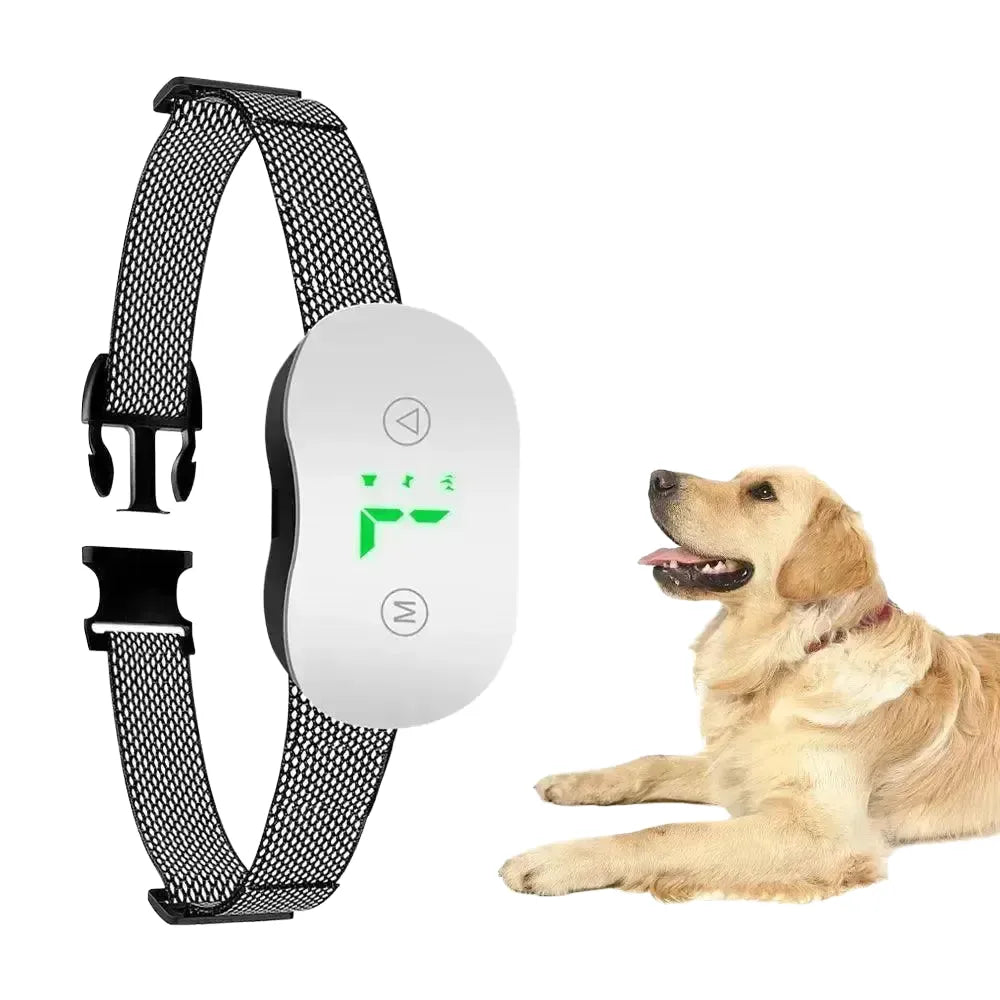 Humane Bark Control Dog Collar for Dogs — A