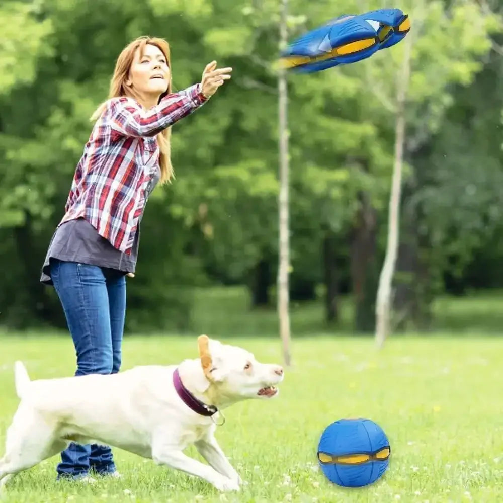 Dog UFO Ball For All Sizes Enhances Interaction And Exercise