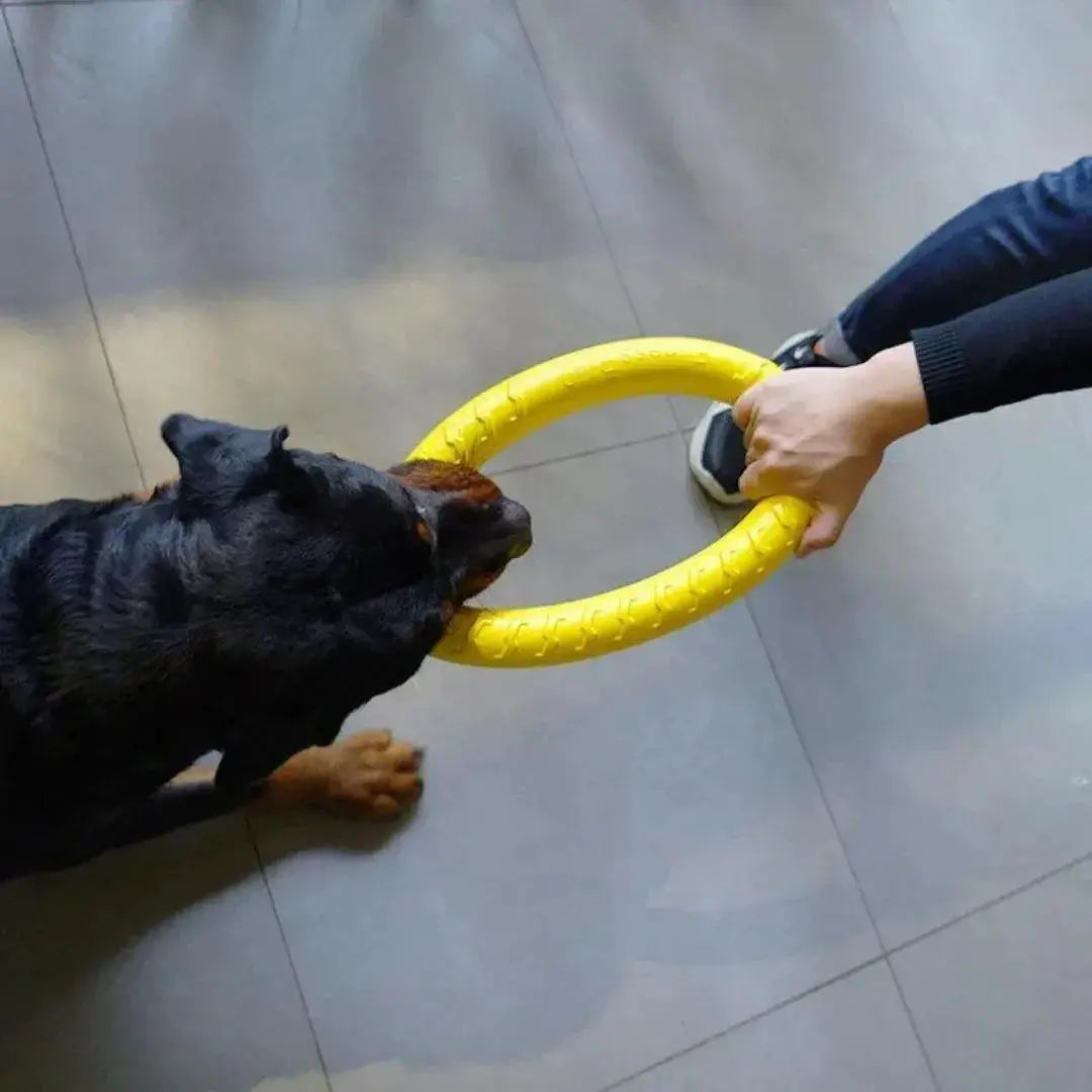 Dog Ring Toys Gentle On Teeth For Training And Play