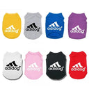 Spring Dog Hoodies: Stylish Letter Print Hoodie for Small Dogs