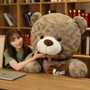 High Quality 2 Colors Teddy Bear