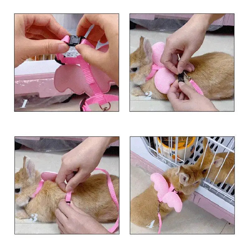 Angel Wing Rabbit Harness And Leash Personalized Accessory