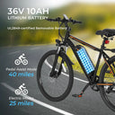 Dyu M26 360Wh Electric Mountain E Bike