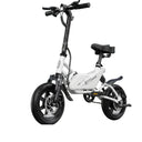 Dyu Folding Electric Bike Urban