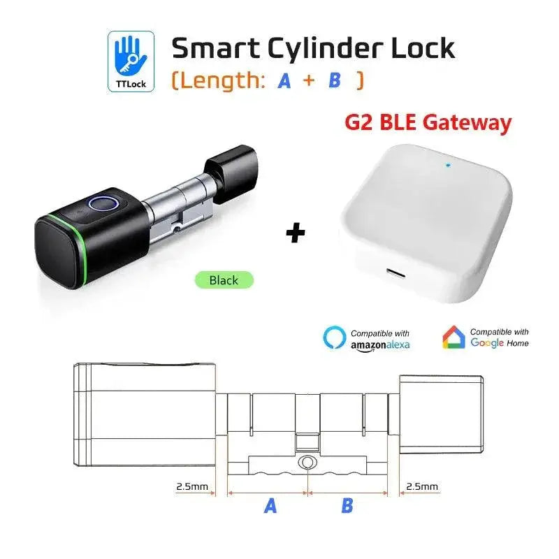 RayKube Door Lock Remote Access — Tuya-B Gateway
