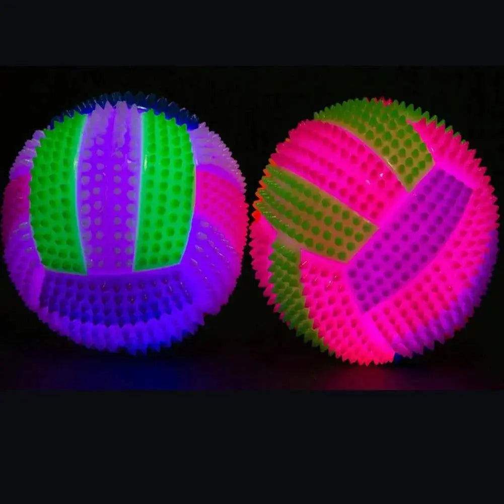 Light Up Dog Ball Interactive Glow in the Dark Toy
