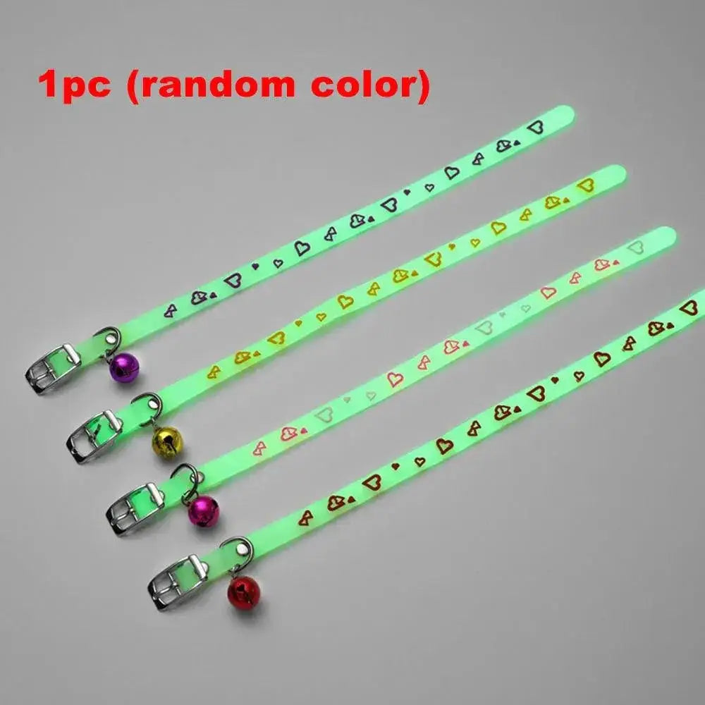 Glowing Cat Collar for Nighttime Safety — product view