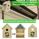 Real-Time Bird Watching Nest Box Camera