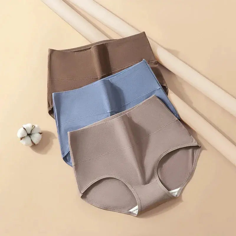 Plus Size High Waist Cotton Panties 4 Pack Women Underwear