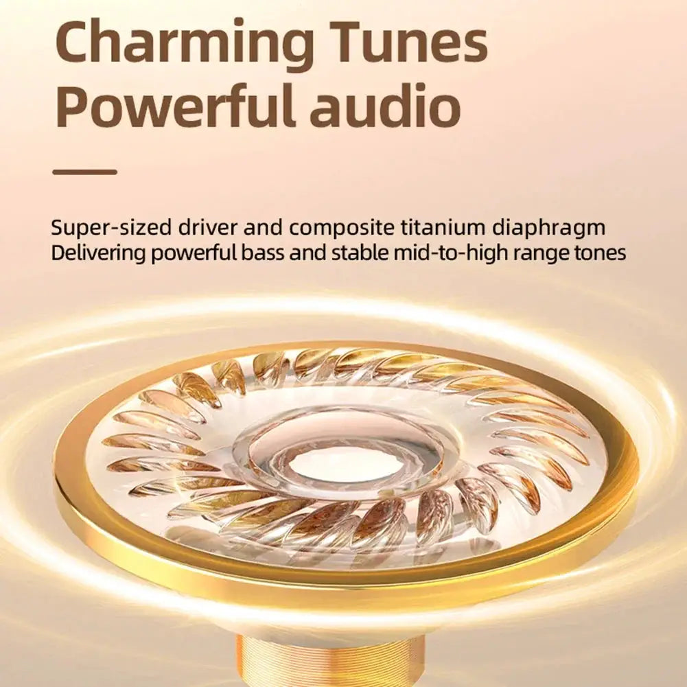 T23 Translator Earbuds 142 Languages Bluetooth 5.4