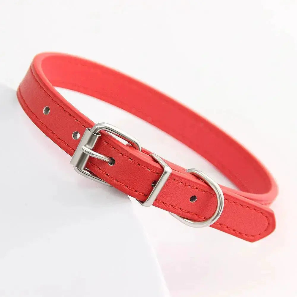 Colorful Leather Pet Collar Custom Padded Quick Release