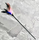 Funny Cat Teaser Toy Rod with Feather Bell Fun Play