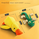 Large Dog Self-Hi Corgi Consumes Small Yellow Duck Toy