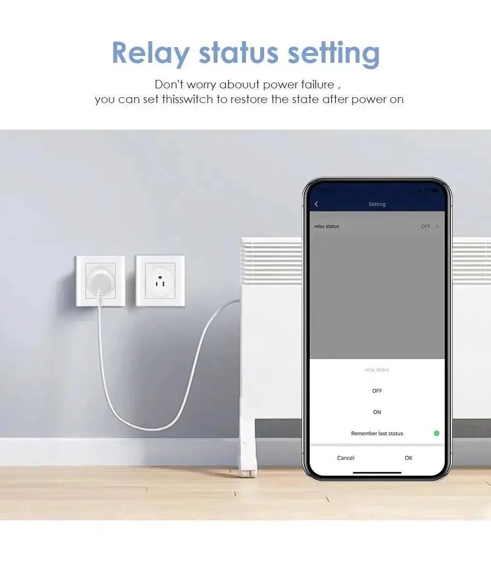 Smart WiFi Plug With Remote For Alexa And Google Home