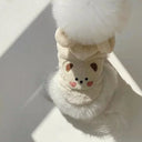 Winter Dog Clothes for Small Medium Dogs Hoodies Warm