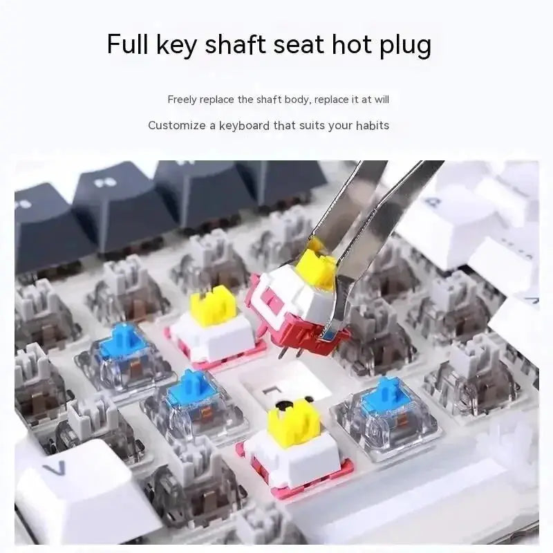 AULA F87 Pro Wireless 87 Key RGB PBT Gasket Keyboard - OurLum.com
