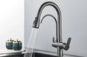 Filtered Water Kitchen Faucet For Homes