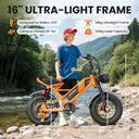 Adult Fat Tire Electric Bicycle